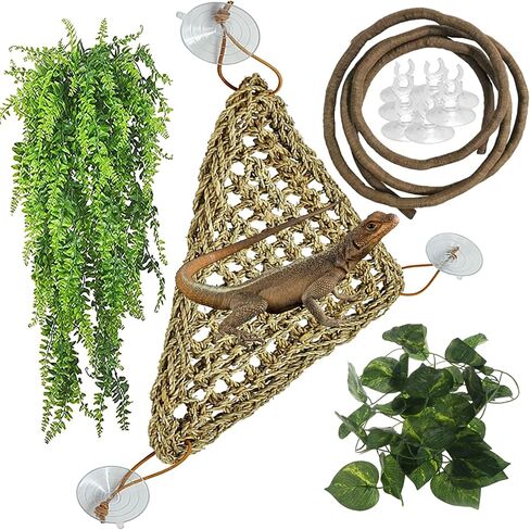 Hamiledyi التنين الملتحي أرجوحة خزان الملحقات الزواحف تسلق اللعب سحلية الموائل الديكور مرنة الزواحف النباتات الكرمة ديكور للحرباء الناسك السرطانات أبو بريص أو الثعابين in Saudi Arabia