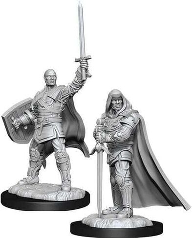 Dungeons & Dragons Nolzur's Marvelous Unpainted Miniatures: Human Paladin (Male) in Saudi Arabia