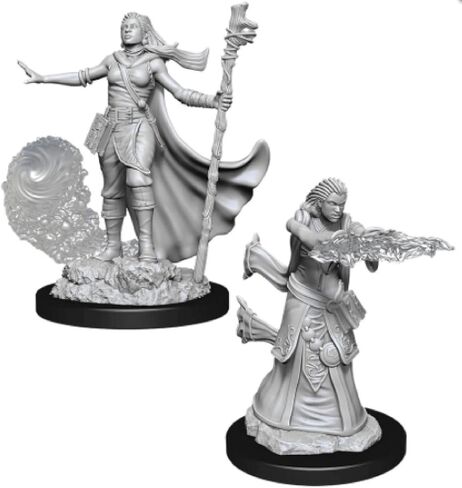 Dungeons & Dragons Nolzur's Marvelous Unpainted Miniatures: Human Paladin (Male) in Saudi Arabia