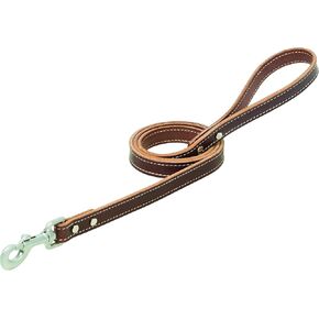 Bridle Leather Dog Leash Brown 1" x 6'