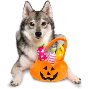 Midlee Find a Toy Halloween Pumpkin Bucket Dog Toy