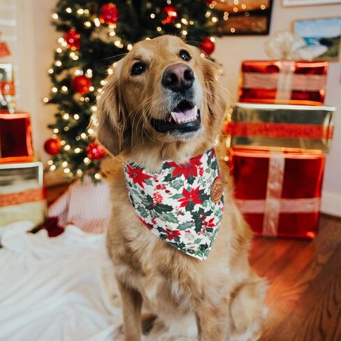 CROWNED BEAUTY Christmas Dog Bandanas Reversible Large 2 Pack, Holiday Blooms Set, Plaid Adjustable Triangle Holiday Scarves for Medium Large Extra Large Dogs Boy Girl Pets DB144-L in Saudi Arabia
