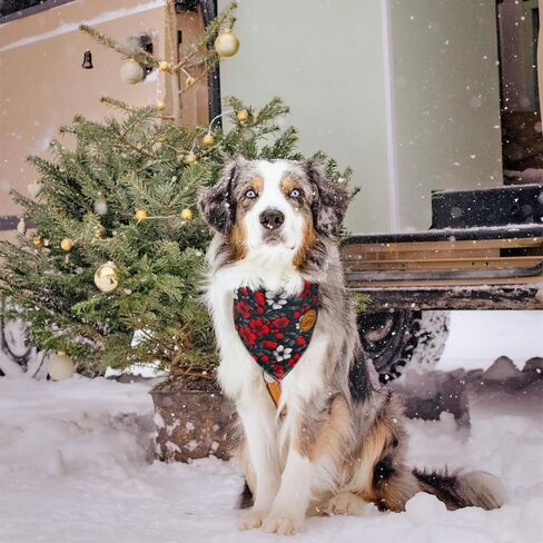 CROWNED BEAUTY Christmas Dog Bandanas Reversible Large 2 Pack, Holiday Blooms Set, Plaid Adjustable Triangle Holiday Scarves for Medium Large Extra Large Dogs Boy Girl Pets DB144-L in Saudi Arabia