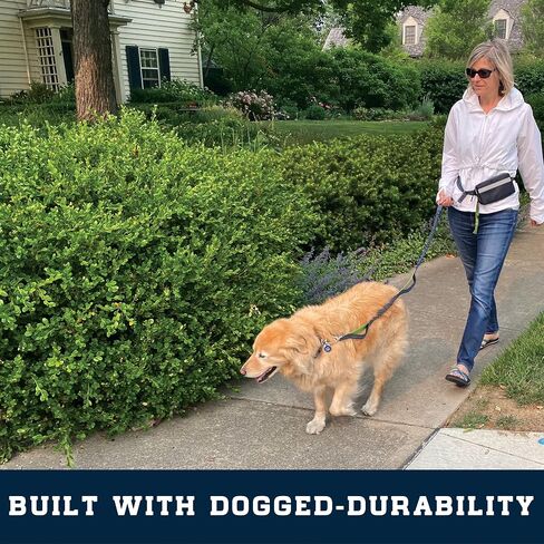 Hands-Free Dog Leash with Locking Carabiner & Waterproof Pouch – Adjustable Waist Belt for Running, Walking & Hiking with Reflective Design in Kuwait