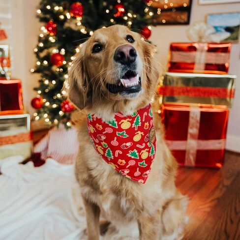 CROWNED BEAUTY Christmas Dog Bandanas Reversible Large 2 Pack, Gingerbread Delight Set, Polka Dots Adjustable Triangle Holiday Scarves for Medium Large Extra Large Dogs Boy Girl Pets DB138-L in Saudi Arabia