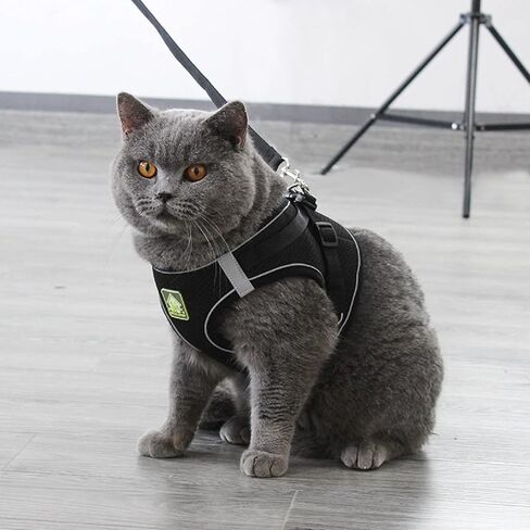 Pet Harness for Dog and Cat Dog Harness Can Night Reflection Polyester Breathable Mesh Comfortable Double D-Ring Safety Adjustable Padded Vest Matching Dog Leash 59 inch (M, Black) in Saudi Arabia