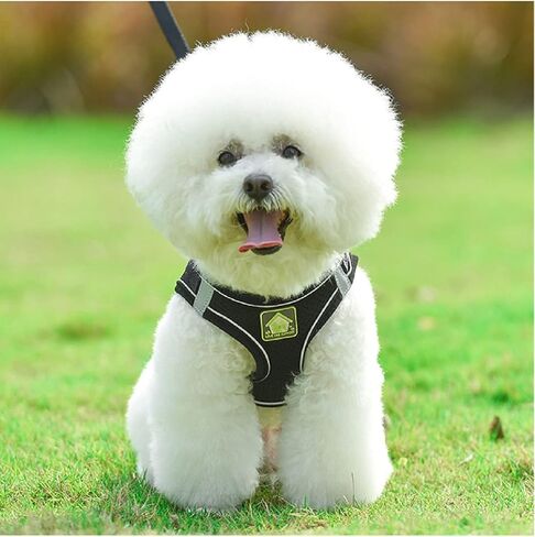 Pet Harness for Dog and Cat Dog Harness Can Night Reflection Polyester Breathable Mesh Comfortable Double D-Ring Safety Adjustable Padded Vest Matching Dog Leash 59 inch (M, Black) in Saudi Arabia