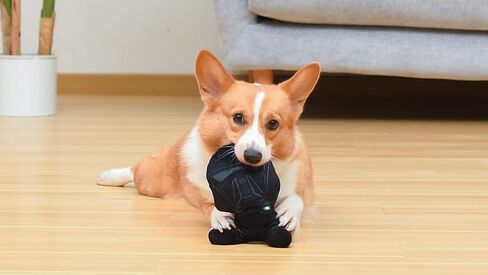 لعبة ستار وورز ستورم تروبر للكلاب، لعبة قطيفة مقاس 12 بوصة للكلاب، لعبة شخصية جندي العاصفة البيضاء| لعبة حرب النجوم القطيفة الكبيرة المصنوعة من القماش القطيفة للكلاب الكبيرة، ألعاب قطيفة حرب النجوم للكلاب الكبيرة in Kuwait