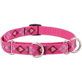 LupinePet Originals 1" Puppy Love 15-22" Martingale Collar for Medium and Larger Dogs