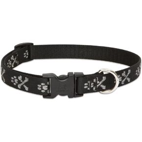 LupinePet Originals 3/4" Bling Bonz 13-22" Adjustable Collar for Medium and Larger Dogs