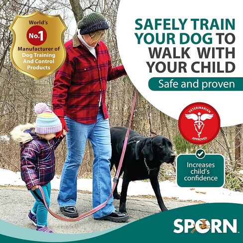 Double Handle Dog Leash Heavy Duty, Built-in Elastic Two Handle Dog Leash, Child Co Walk Shock Absorber Training Dog Leash with Reflective Stitching for High Visibility in Low Light Condition, Blue in Kuwait