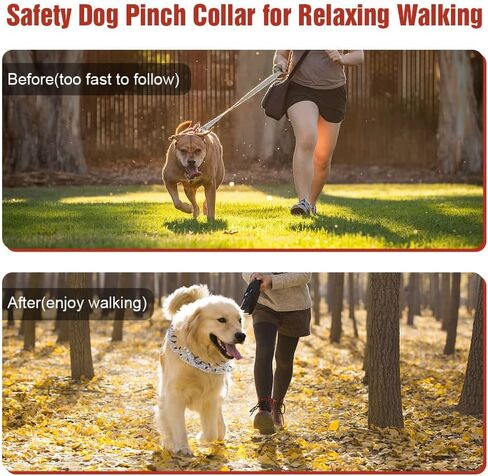 Dog Pinch Collar,Anti-Rust Dog Training Collar with Whistle Lanyard,Detachable Dog Prong Collar with Linkers Caps for Most Dogs(Size:L) in Saudi Arabia