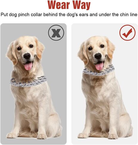 Dog Pinch Collar,Anti-Rust Dog Training Collar with Whistle Lanyard,Detachable Dog Prong Collar with Linkers Caps for Most Dogs(Size:L) in Saudi Arabia