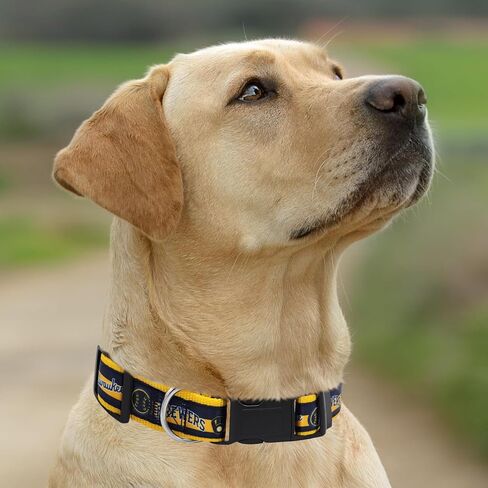 طوق MLB PET للكلاب من ميلووكي برويرز، مقاس كبير. طوق فريق البيسبول للكلاب والقطط. طوق للكلاب والقطط لامع وملون مرخص من MLB in Saudi Arabia