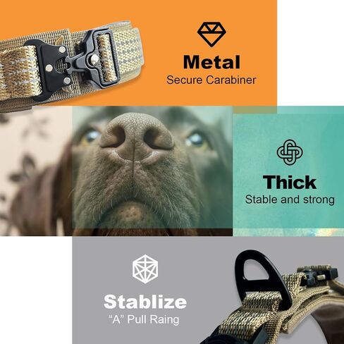 Tactics Dog Collar with Airtag Holder, Airtag Dog Collar, Waterproof Adjustable Dog Collar for Hiking, Camping, Double Locking with Metal Carabiner (Black, XL) in Saudi Arabia