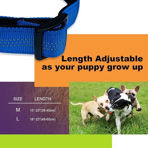 Tactics Dog Collar with Airtag Holder, Airtag Dog Collar, Waterproof Adjustable Dog Collar for Hiking, Camping, Double Locking with Metal Carabiner (Black, XL) in Saudi Arabia