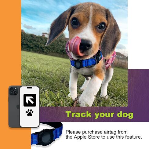 Tactics Dog Collar with Airtag Holder, Airtag Dog Collar, Waterproof Adjustable Dog Collar for Hiking, Camping, Double Locking with Metal Carabiner (Black, XL) in Saudi Arabia