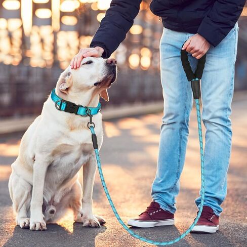 Dog Collar and Leash Set, Reflective Dog Collar Heavy Duty Dog Leash, Adjustable Soft Neoprene Padded Nylon Pet Collars, Comfortable Padded Handle, for Small Medium Large Dogs, 5FT (Blue, Large) in Saudi Arabia