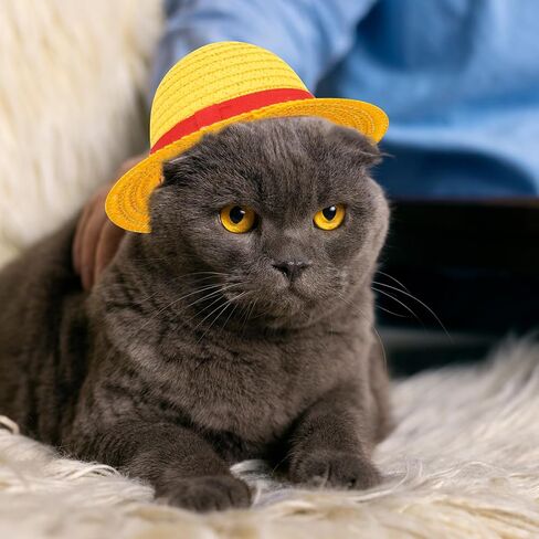 Beautyflier Pet Straw Hat Party Decorations Halloween Cosplay Cap Puppy Pet Dog Cat Holiday Costume for Small Dog Cat (Beige) in Kuwait