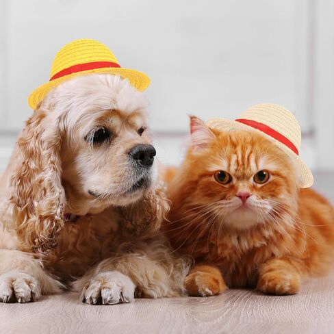 Beautyflier Pet Straw Hat Party Decorations Halloween Cosplay Cap Puppy Pet Dog Cat Holiday Costume for Small Dog Cat (Beige) in Kuwait
