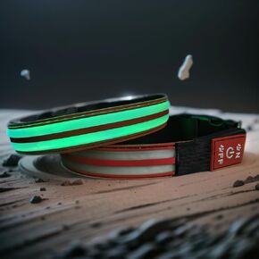 Flashing USB-C led Light up Dog Collar, Subversive 3D Design Comfortable and Soft Material,Multicolored Lighting (PW-Pink, S(11.8-15.7"))