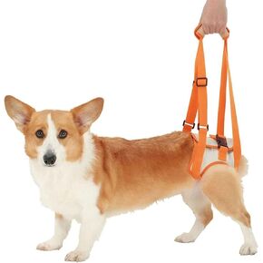 Dog Sling for Back Legs, Dog Hind Leg Auxiliary Belt Adjustable Sling for Small Medium Large Dog (S)