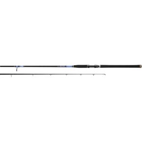 Daiwa BEEFSTICK SURF Rod Sections 2 Line Wt 40 100
