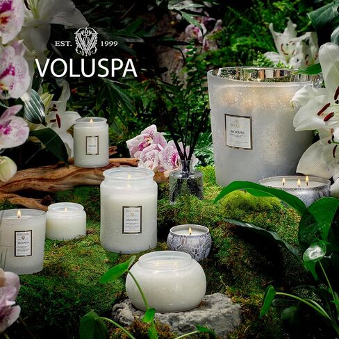 Voluspa Panjore Lychee Petite Tin Candle , 4 Ounces in Saudi Arabia