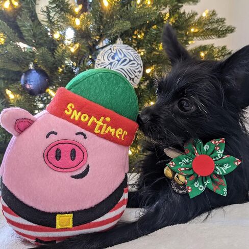 Huxley & Kent Pet Pinwheel | Naughty & Nice (Small) | Christmas Holiday Collar Accessory for Dogs/Cats | Bow Collar Attachment | Cute, Comfortable Accessory | H&K Pinwheel for Pets in Saudi Arabia