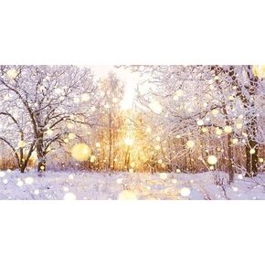 24X12IN Winter Snow Scene Wonderland Aquarium Background, Falling Snowflake Warm Sunlight Bokeh Glitter Fish Tank Decorations Background, Christmas Art Terrarium Background