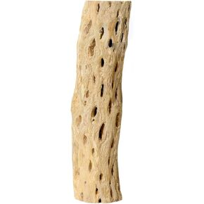 SuperMoss (23491 Cholla Wood, Natural, 1pc (12in)