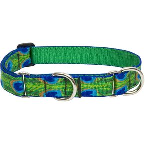 LupinePet Originals 1" Tail Feathers 19-27" Martingale Collar for Large Dogs