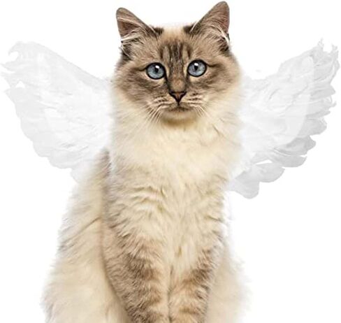 Pet Angel Feather Wings Pet Harness Pet Costume Accessory Dog Cat Halloween Cosplay Dress Up Pet Supplies (L) in Saudi Arabia