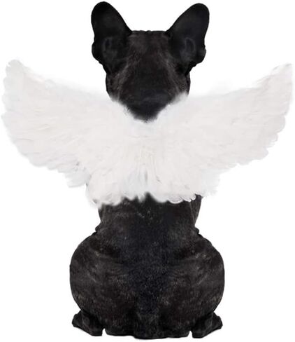 Pet Angel Feather Wings Pet Harness Pet Costume Accessory Dog Cat Halloween Cosplay Dress Up Pet Supplies (L) in Saudi Arabia
