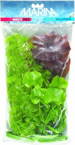 مجموعة متنوعة من مارينا أكواسكابر تتضمن نباتات قرنية، والزنبق القزم، وفاليسنيريا المفتاحية، ونبات الموز، وعشب الشعر in Kuwait