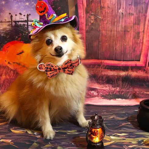 Dog Collar with Bow Tie Halloween Thanksgiving Christmas Pet Gifts Ghost Pumpkin Pattern with Metal Buckle Adorable Stylish Pet Collar for Small Medium Large Dogs Thanksgiving S in Saudi Arabia