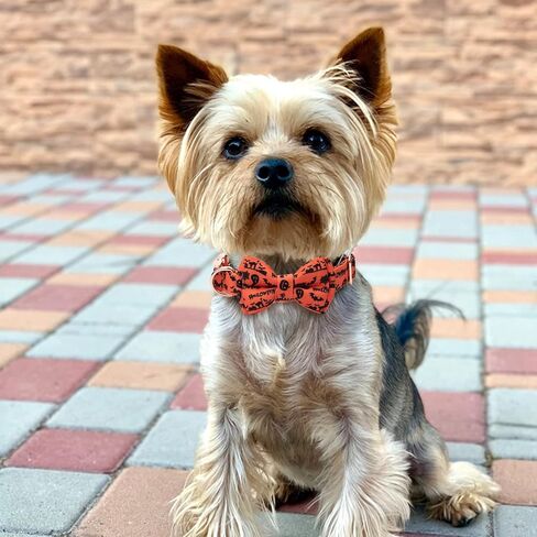 Dog Collar with Bow Tie Halloween Thanksgiving Christmas Pet Gifts Ghost Pumpkin Pattern with Metal Buckle Adorable Stylish Pet Collar for Small Medium Large Dogs Thanksgiving S in Saudi Arabia