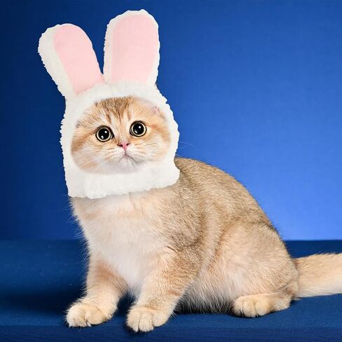 قبعة قطة لطيفة، قبعة أرنب كوستوم مع آذان للقطط والكلاب الصغيرة، آذان أرنب للكلاب، زي حفلات عيد الفصح، أغطية رأس للحيوانات الأليفة in Kuwait