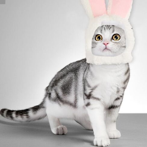 قبعة قطة لطيفة، قبعة أرنب كوستوم مع آذان للقطط والكلاب الصغيرة، آذان أرنب للكلاب، زي حفلات عيد الفصح، أغطية رأس للحيوانات الأليفة in Kuwait