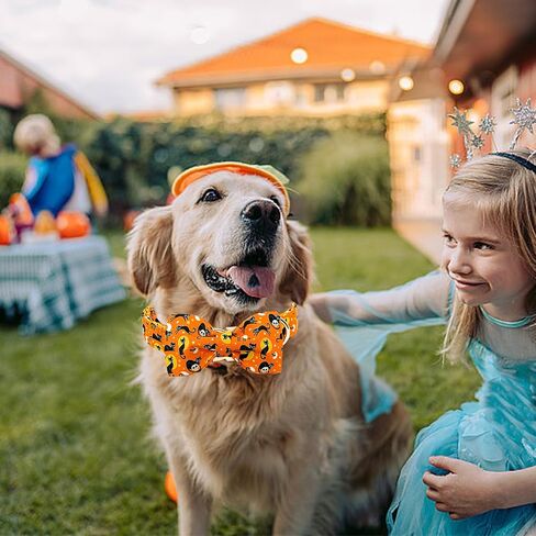 Lionheart glory Plaid Dog Collar Fall Halloween Dog Collars Bowtie Heavy Soft Adjustable Dog Collar for Small Dogs Collar Dog Bow Male/Female Dog Collar Pet Gift in Saudi Arabia