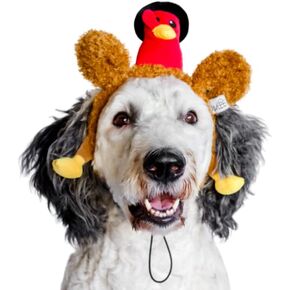 Midlee Pilgrim Turkey Thanksgiving Dog Headband