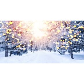 24X12IN Winter Snow Scene Aquarium Background, White Snow Covered Trees Pathway in Sunshine Winter Season Scenic Fish Tank Decorations Background, Christmas Art Terrarium Background