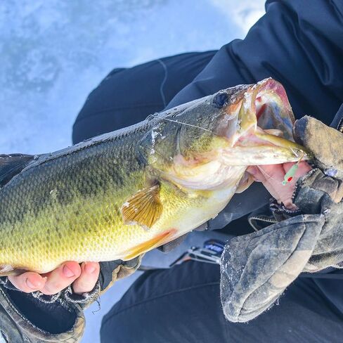 Goture Ice Fishing Jigs Kit Ice Fishing Lures,Ice Fishing Jigging Lures,Ice Jigs Ice Fishing Bait for Crappie Panfish Walleye Bluegill Pike Perch Ice Fishing Gear in Kuwait