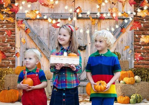 7X5FT Fall Thanksgiving Autumn Backdrop Autumn Pumpkins to The Countryside Photography Background Harvest Harvest Backdrops Hay Maple Leaves Baby Shower Banner Supplies Photo Booth Prop DH-222 in Saudi Arabia
