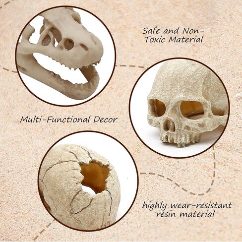 Dinosaur Skull Hideouts + Human Skull Decoration Suitable for Fish Tank, Fish Aquarium Decor in Saudi Arabia