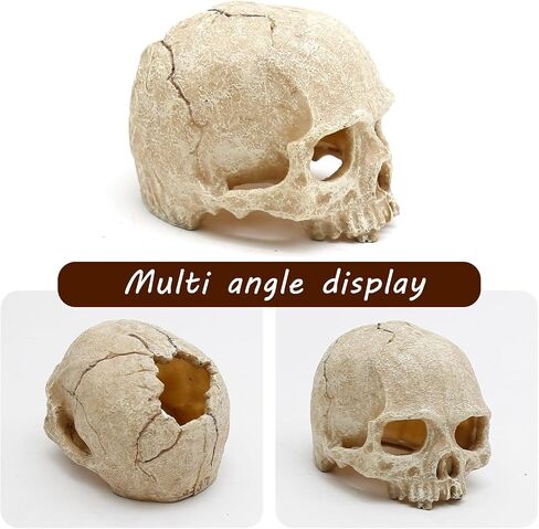 Dinosaur Skull Hideouts + Human Skull Decoration Suitable for Fish Tank, Fish Aquarium Decor in Saudi Arabia