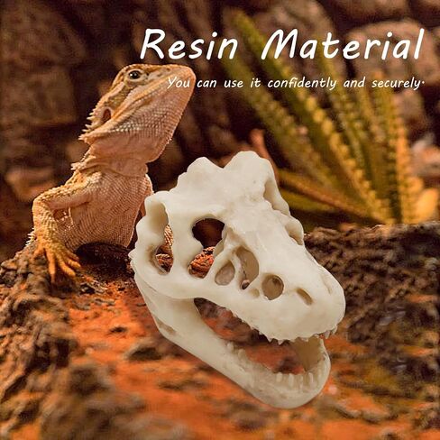 Dinosaur Skull Hideouts + Human Skull Decoration Suitable for Fish Tank, Fish Aquarium Decor in Saudi Arabia