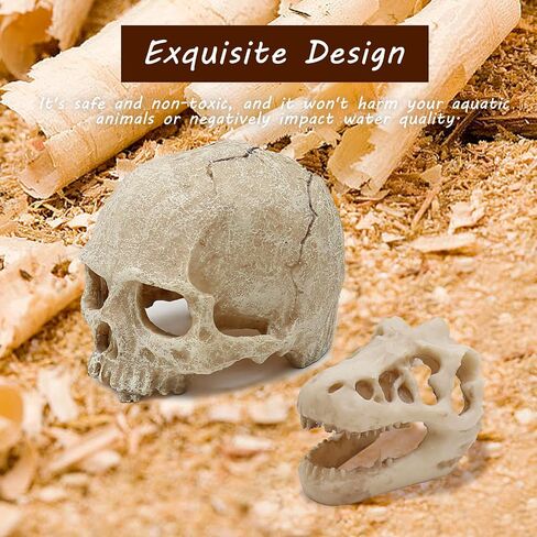 Dinosaur Skull Hideouts + Human Skull Decoration Suitable for Fish Tank, Fish Aquarium Decor in Saudi Arabia