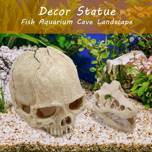 Dinosaur Skull Hideouts + Human Skull Decoration Suitable for Fish Tank, Fish Aquarium Decor in Saudi Arabia