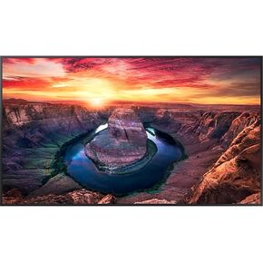 Samsung Dis Public 65 QM65C